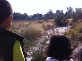 945975_10152388514836164_1765870137_n