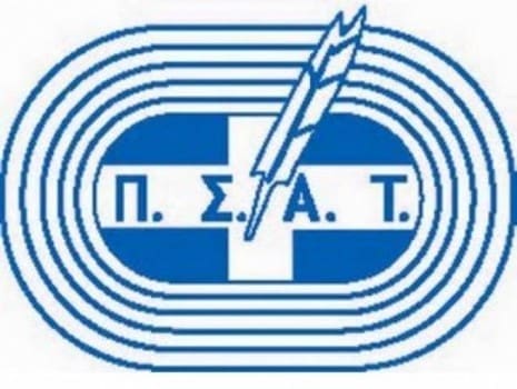 pegasus_LARGE_t_1041_105819743