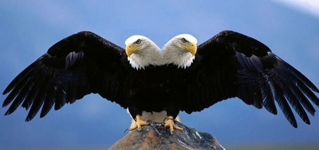 e662e55440b5b10fb96a6d9e3e95571e_5476