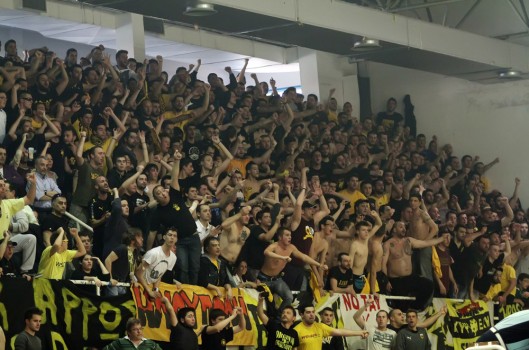 pegasus_LARGE_t_1041_105969381