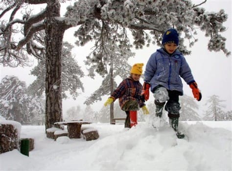 F9AEC78A4FF13271FB6FDBC45F8168F2