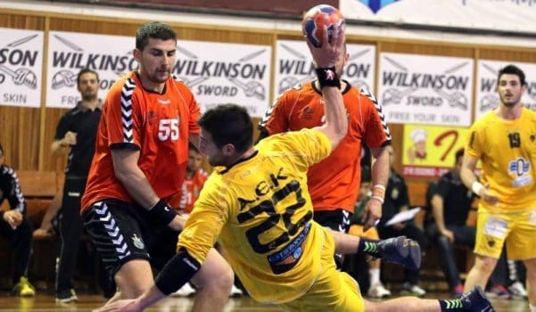 pegasus_LARGE_t_1041_106464817