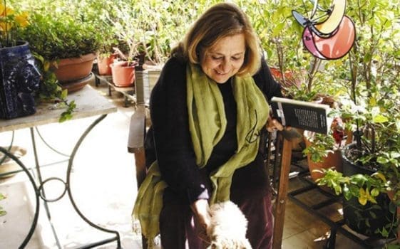 katia-lempesi-kedros