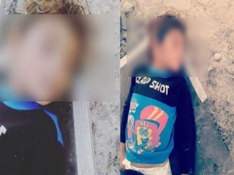 paidaki_center_473_355