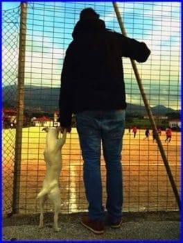 12801261_1706347366244557_6236611377202069652_n