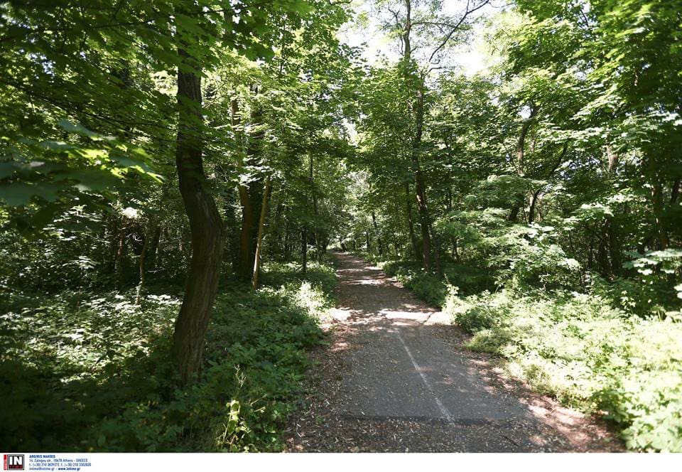 13528968_1197702606937882_3894070076279582658_n