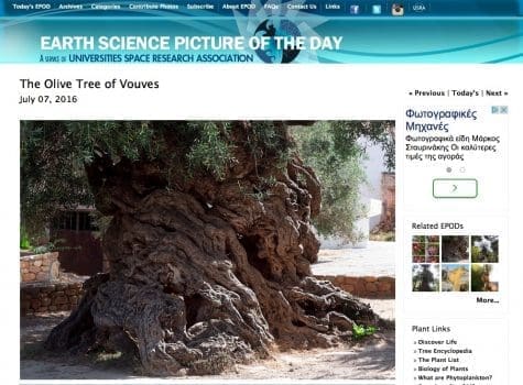 205869g-screen_shot_2016-07-08_at_5.52.06_m.m.