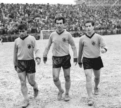 c1c48d187a8fbfad9428affde7821947_433871