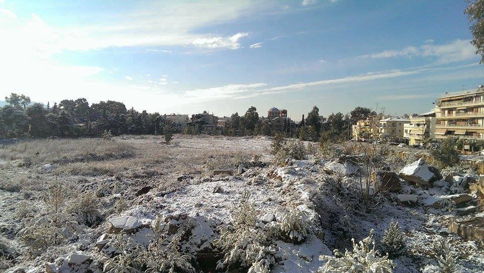 15941324_1034199873358773_5816469219871477704_n