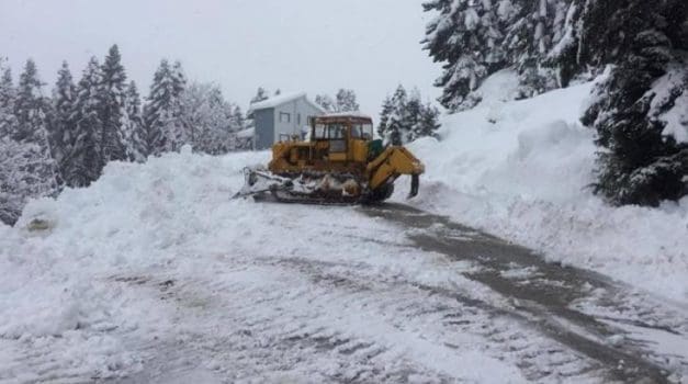 16121718_1370020643039742_1504612801_o